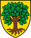 Coat of arms of Échallens