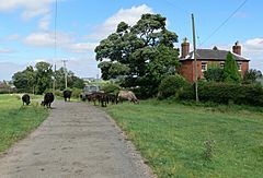 Cold Newton, Leicestershire.jpg