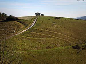 Cross dykes on Pen Hill - geograph.org.uk - 684174