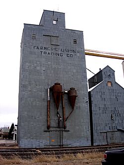 Grain Elevator in Plentywood