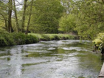 Eversley RiverBlackwater.jpg