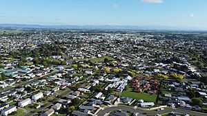 Feilding drone north