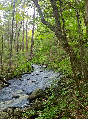 Hammonassett River Trail - Madison