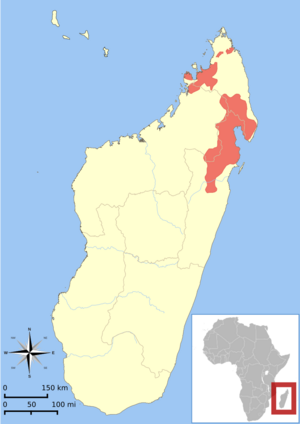 Hapalemur occidentalis range map.svg