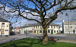 Johnstown Village Green