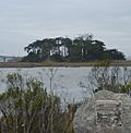 Gunther Island Site 67