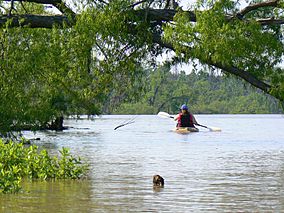 Jack Frisbee Boat Ramp (499393830).jpg