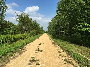 Just west of Black Creek