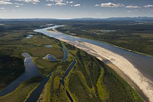 Kobuk River (8029769772)