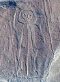 Líneas de Nazca, Nazca, Perú, 2015-07-29, DD 46