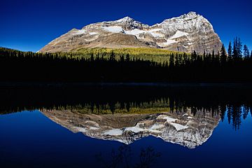 Lake O Hara Early Morning Reflection (173874897).jpeg