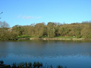 Lake in Capstone Farm Country Park - geograph.org.uk - 149519.jpg