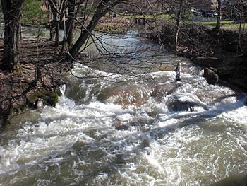 Little Nescopeck Creek looking upstream.JPG