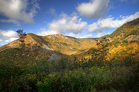 Montagne au Cap-Breton.jpg