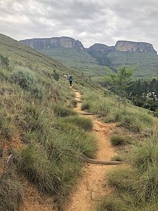 Natal Drakensberg National Park mountains