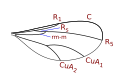 Porricondylinae (most) wing veins