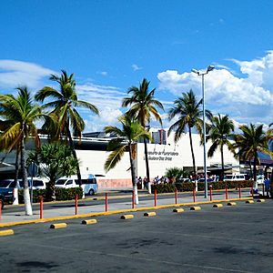 Puerto Vallarta Airport