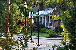 Residential street in Oakley, Cincinnati