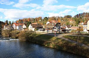 Rikon and the Töss river (November 2009)