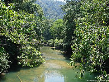 Rio Sarstun- Guatemala.jpg