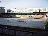 Söderstadion Pitch and north stand.jpg