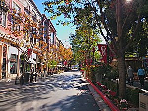 Santana Row (2)