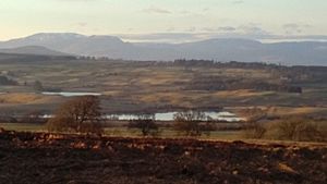 Sheriffmuir looking north