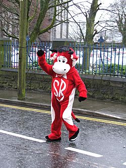 Sligo rovers mascotte