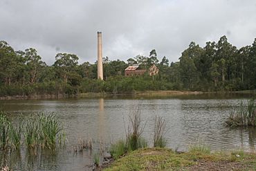 South Aberdare Colliery.jpg