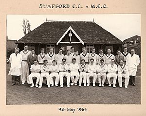 Stafford v mcc