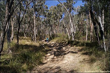 Sundown National Park 3.jpg