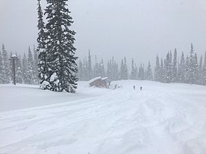 T-bar at PK