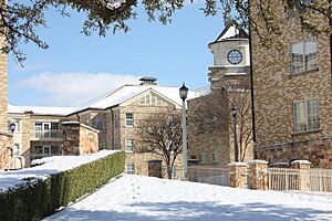 TCU Snow