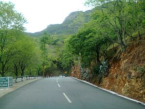 Tirupati Ghat