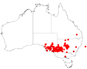 Acacia wilhelmianaDistMap960.png