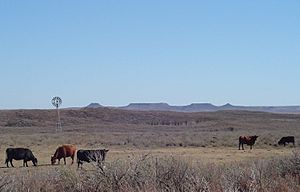 AntelopeHills