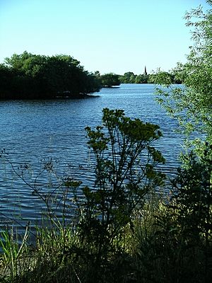 Attenborough Nature Reserve - geograph.org.uk - 202642.jpg