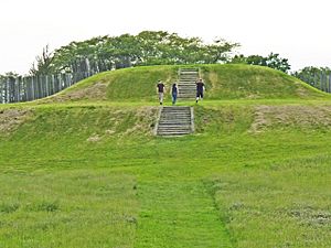 Aztalan platform mound steps