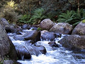 Barrington river