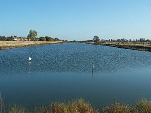 Barton's point Canal - geograph.org.uk - 1019326.jpg