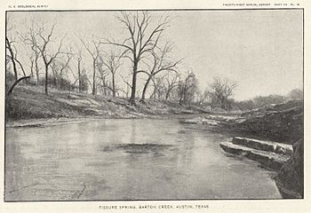 BartonSprings 1900 USGS.jpg