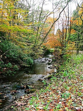 Bedburn Beck - geograph.org.uk - 274040.jpg