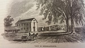 Beekmantown