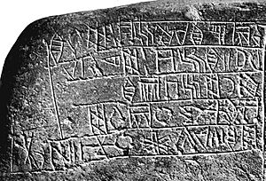 Bilingual Linear Elamite Akkadian inscription of king Kutik-Inshushinak Table of the Lion Louvre Museum Sb 17 (Linear Elamite detail)