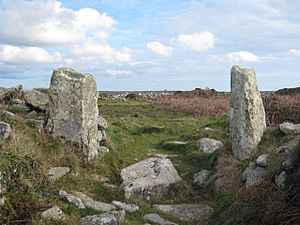 Chûn Castle - geograph.org.uk - 1065624.jpg