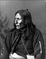 Chief Crowfoot