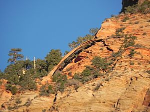 Crawford Arch