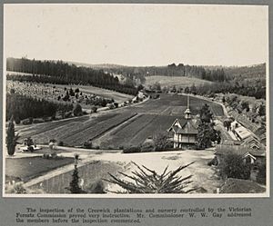 Creswick nursery