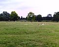 Deer Sanctuary, Normanby Hall