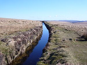 Devonport leat 2